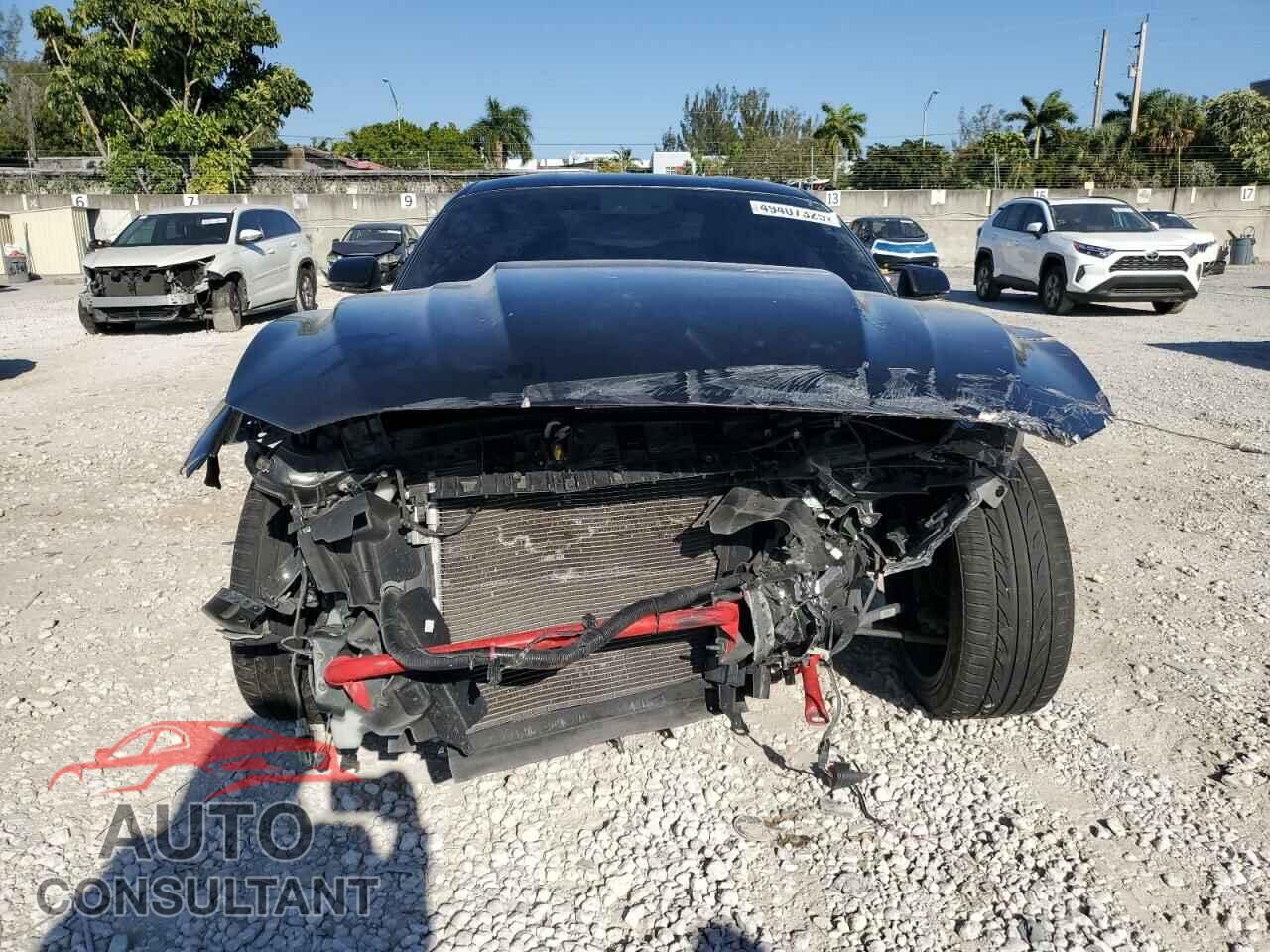 FORD MUSTANG 2019 - 1FA6P8CF8K5116854
