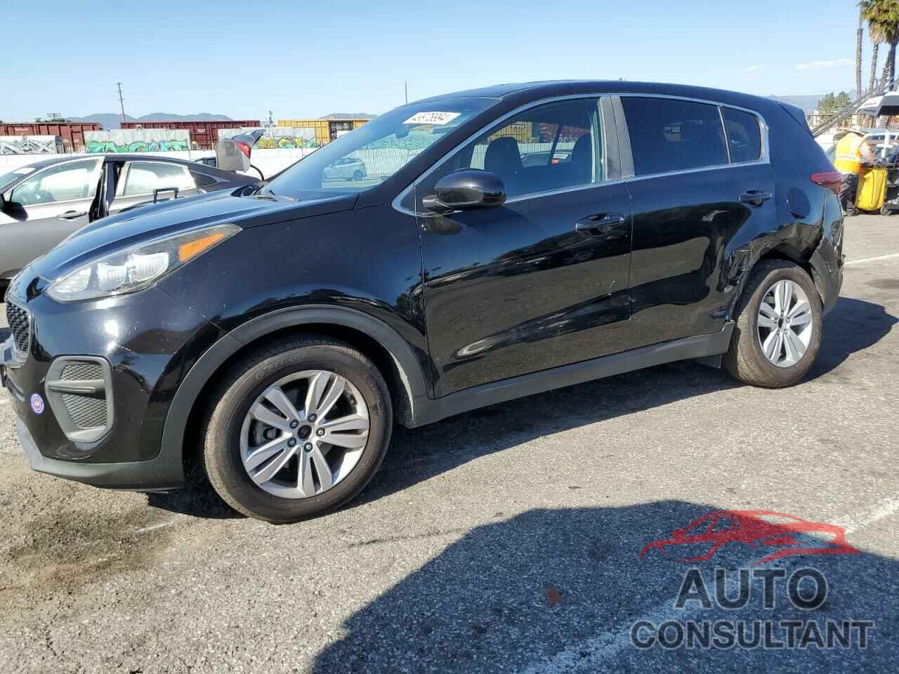 KIA SPORTAGE 2017 - KNDPM3AC3H7219535