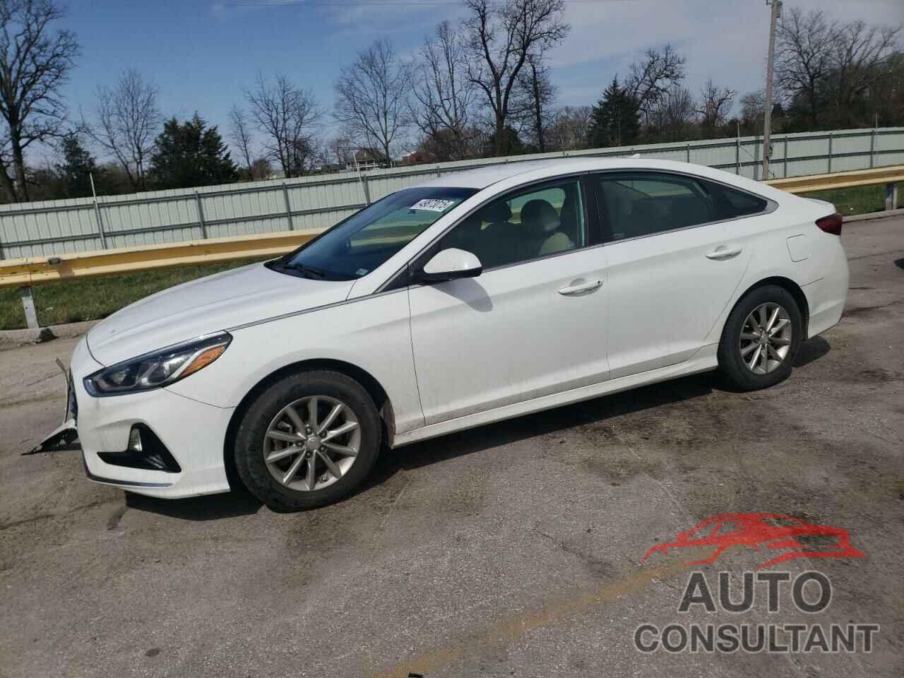HYUNDAI SONATA 2019 - 5NPE24AF5KH759498
