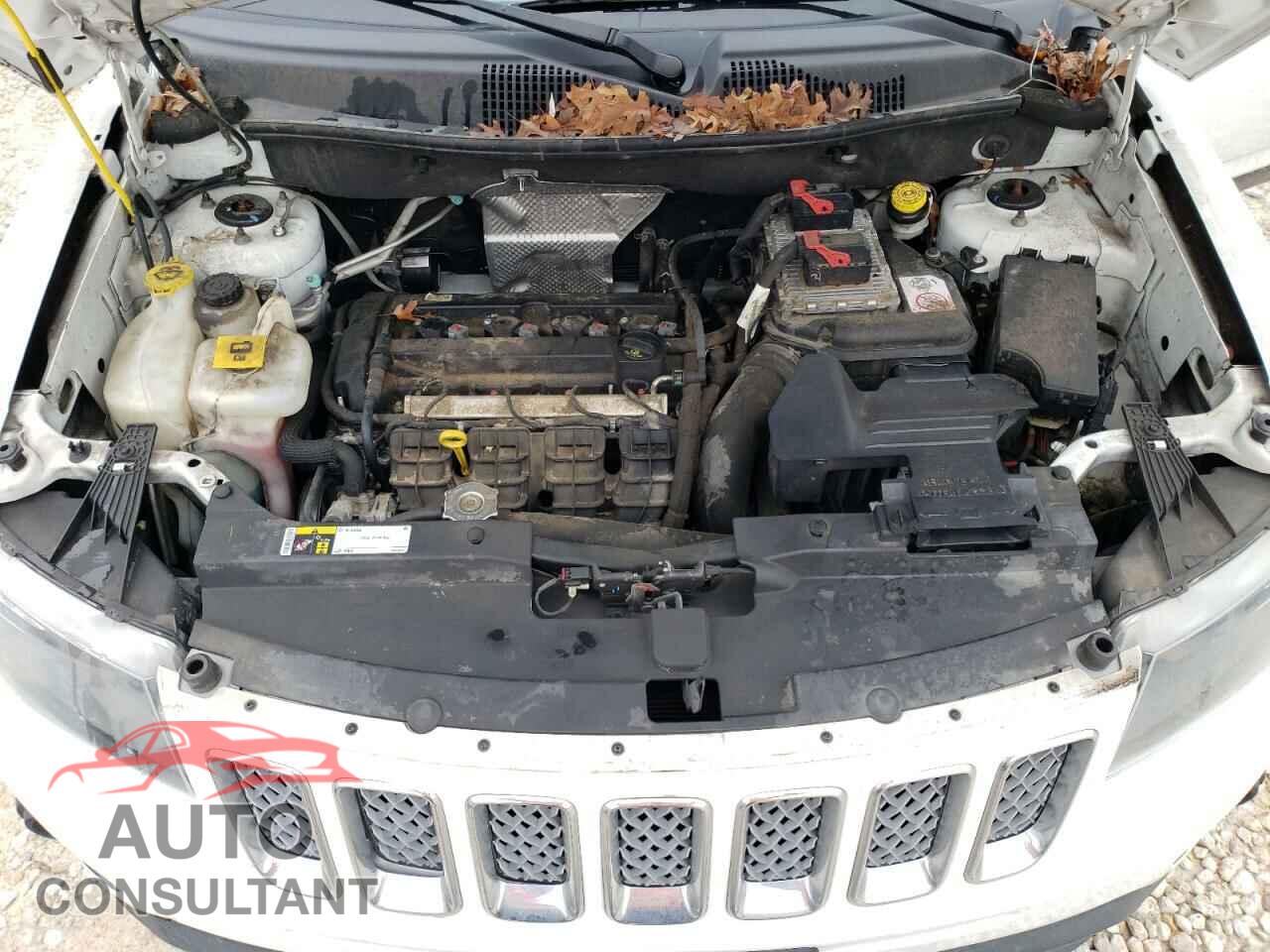 JEEP COMPASS 2016 - 1C4NJCEA2GD648254