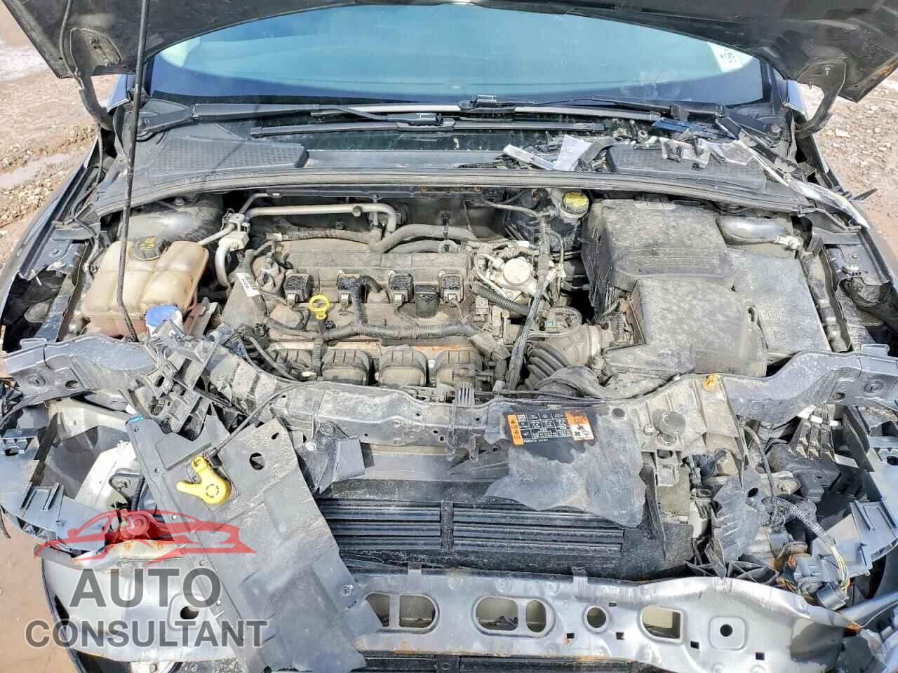 FORD FOCUS 2016 - 1FADP3E23GL331033