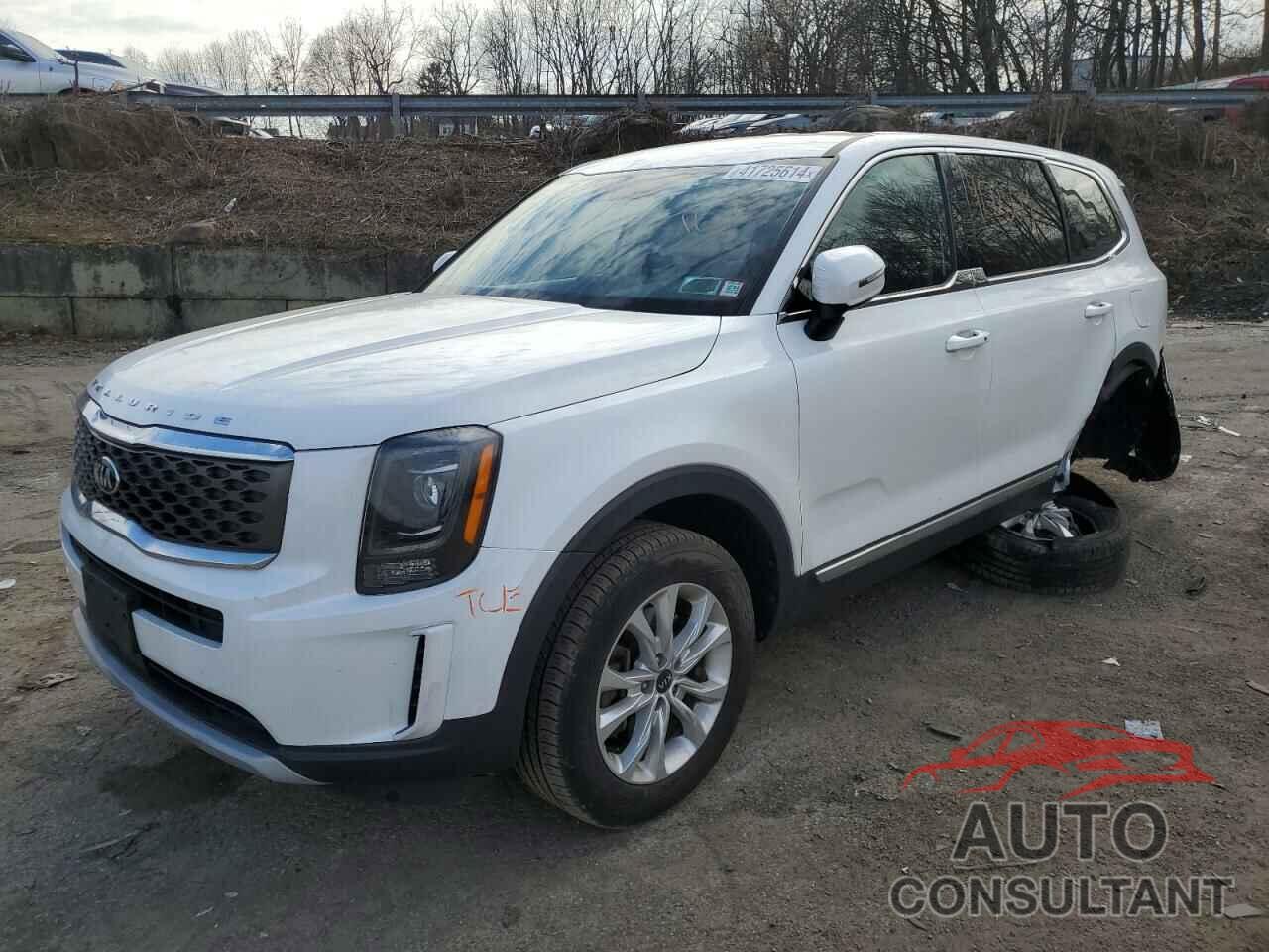 KIA TELLURIDE 2020 - 5XYP2DHC1LG036051