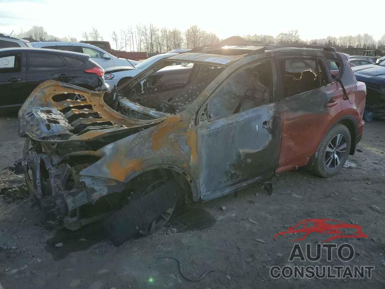 TOYOTA RAV4 2016 - 2T3RFREV6GW512530