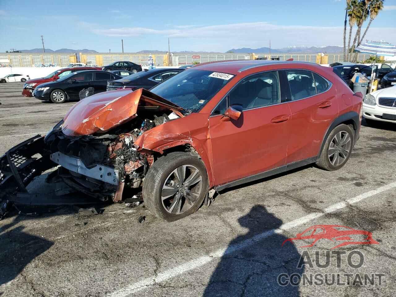 LEXUS UX 200 2021 - JTHX3JBH1M2036853
