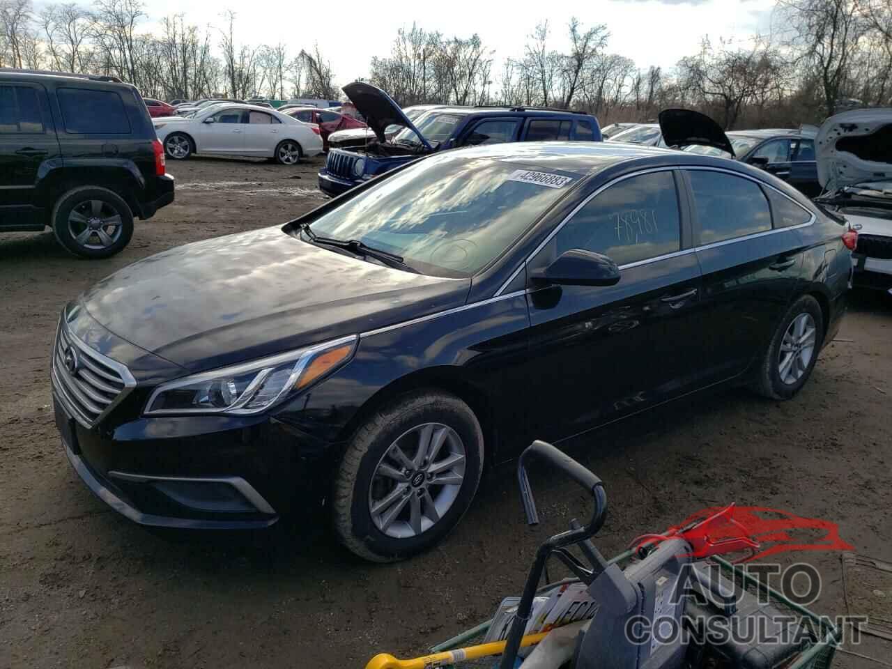 HYUNDAI SONATA 2016 - 5NPE24AF9GH348287