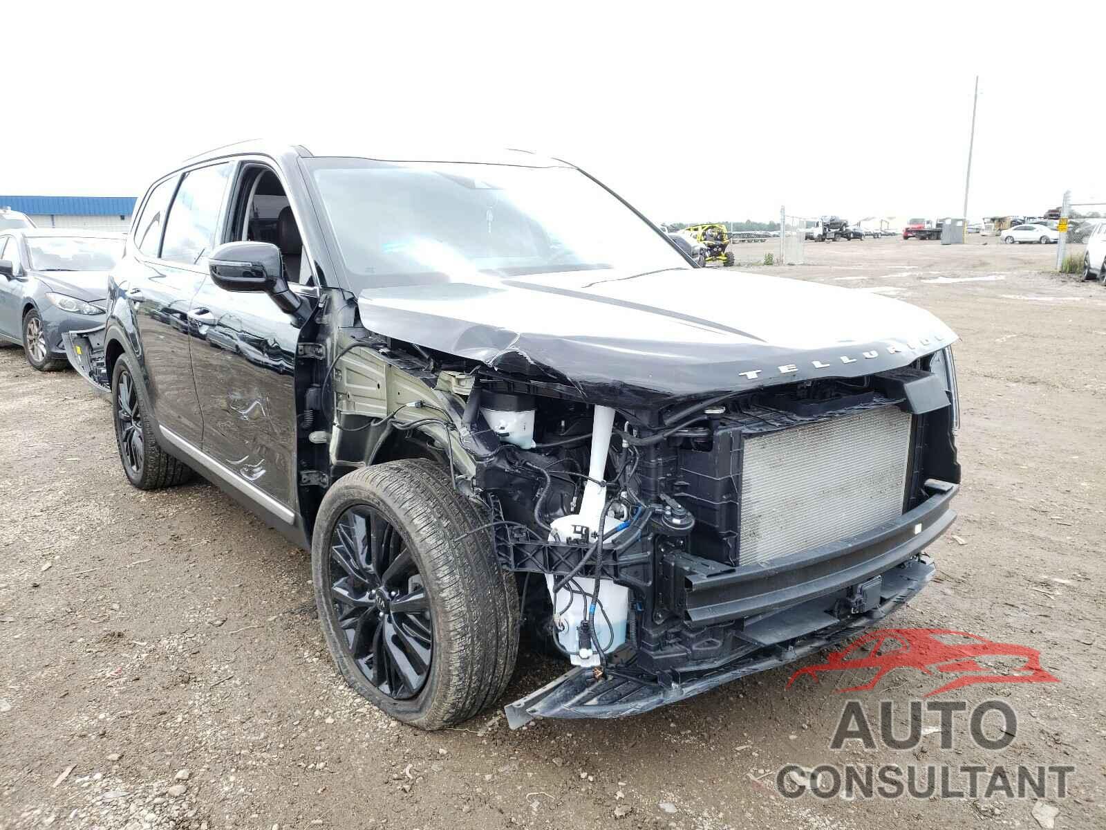 KIA TELLURIDE 2021 - 5XYP5DHC0MG120435