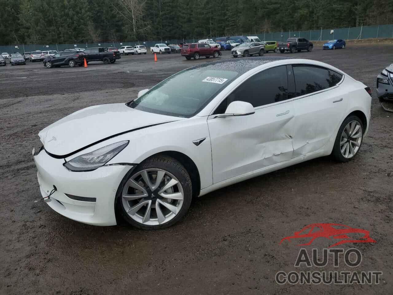 TESLA MODEL 3 2019 - 5YJ3E1EB5KF512615
