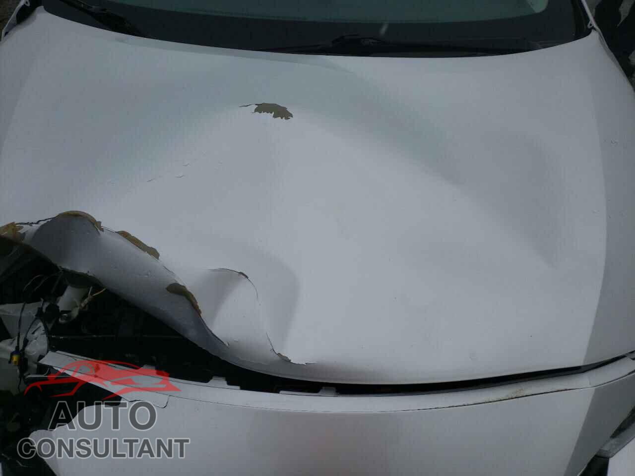 NISSAN VERSA 2020 - 3N1CN8EV2LL841216
