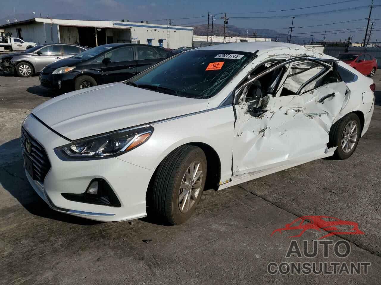 HYUNDAI SONATA 2019 - 5NPE24AF6KH740006