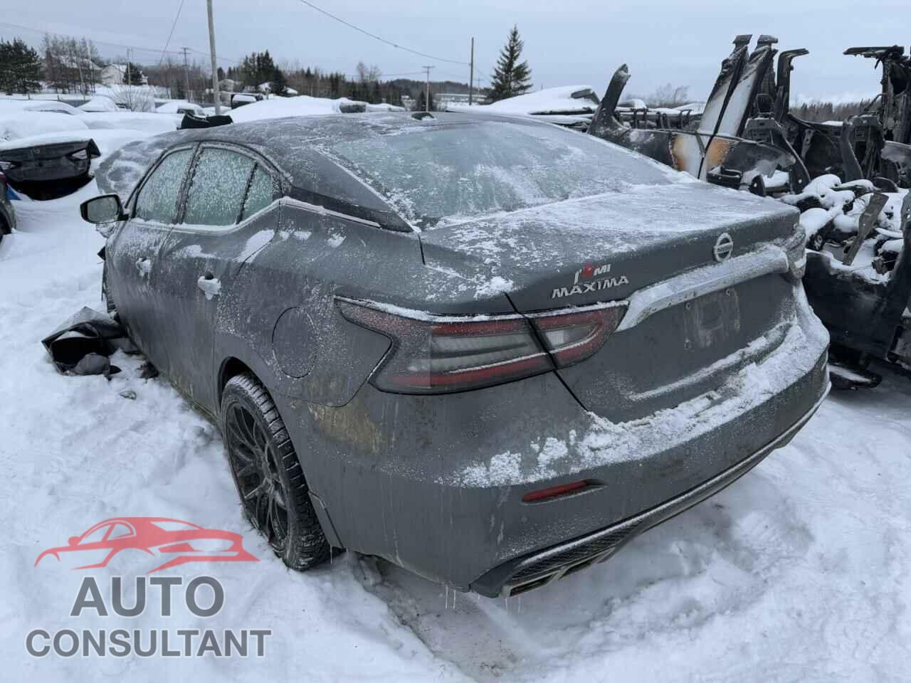 NISSAN MAXIMA 2020 - 1N4AA6DV1LC380260