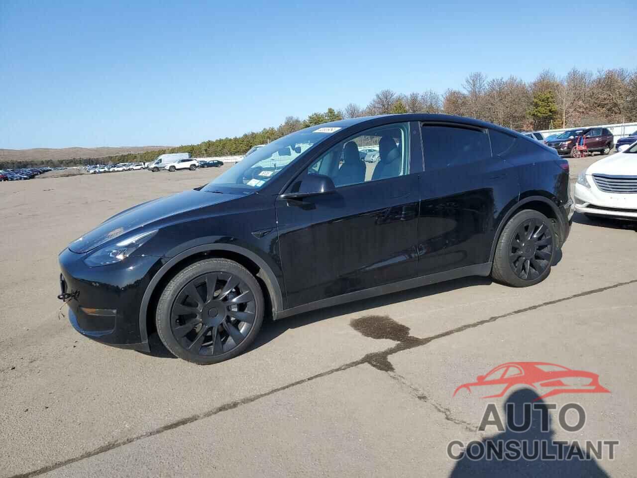 TESLA MODEL Y 2023 - 7SAYGAEE0PF608544