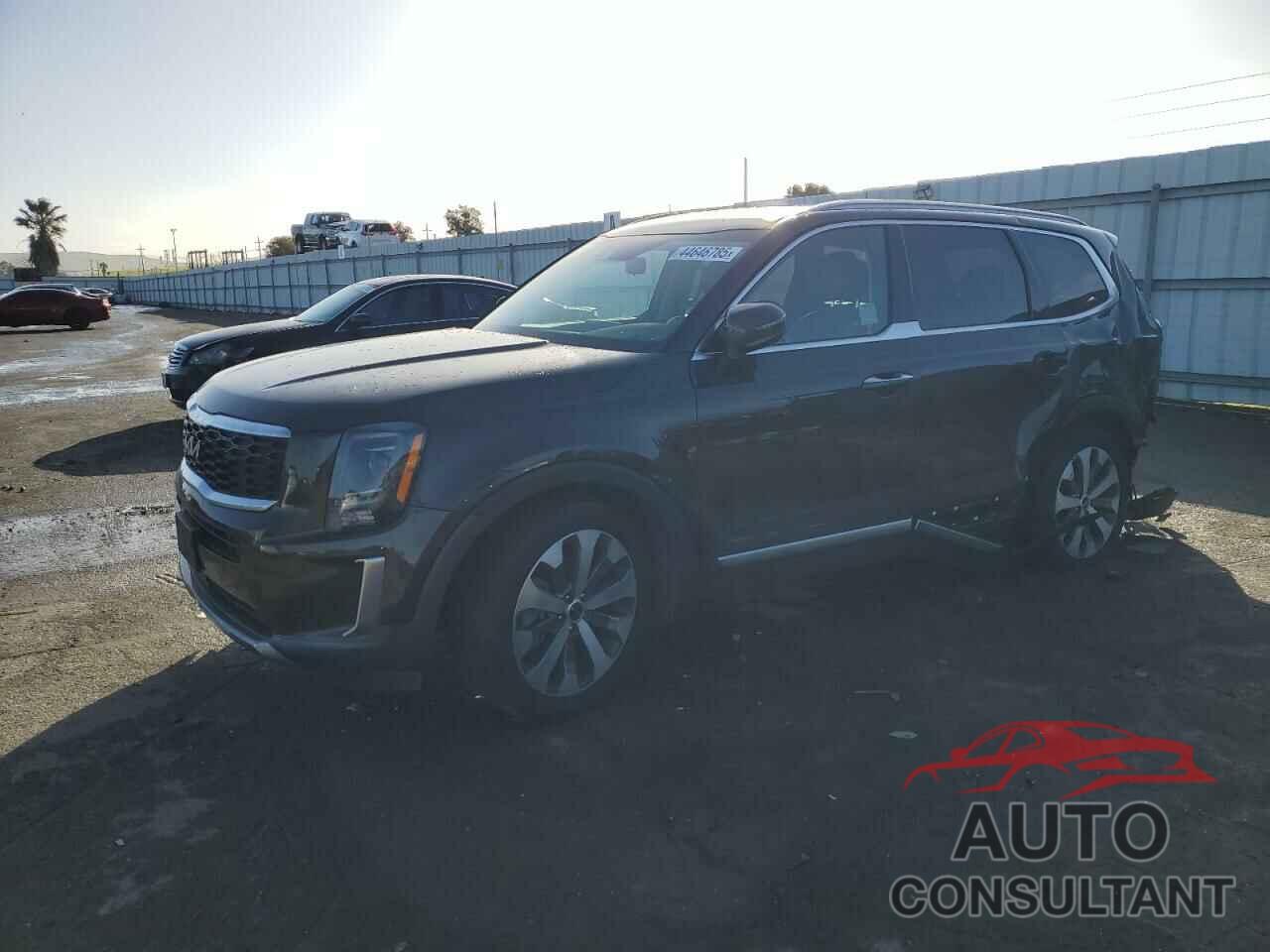 KIA TELLURIDE 2022 - 5XYP6DHC5NG201896