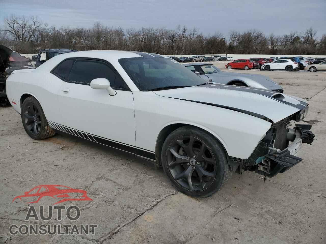 DODGE CHALLENGER 2019 - 2C3CDZBTXKH578316