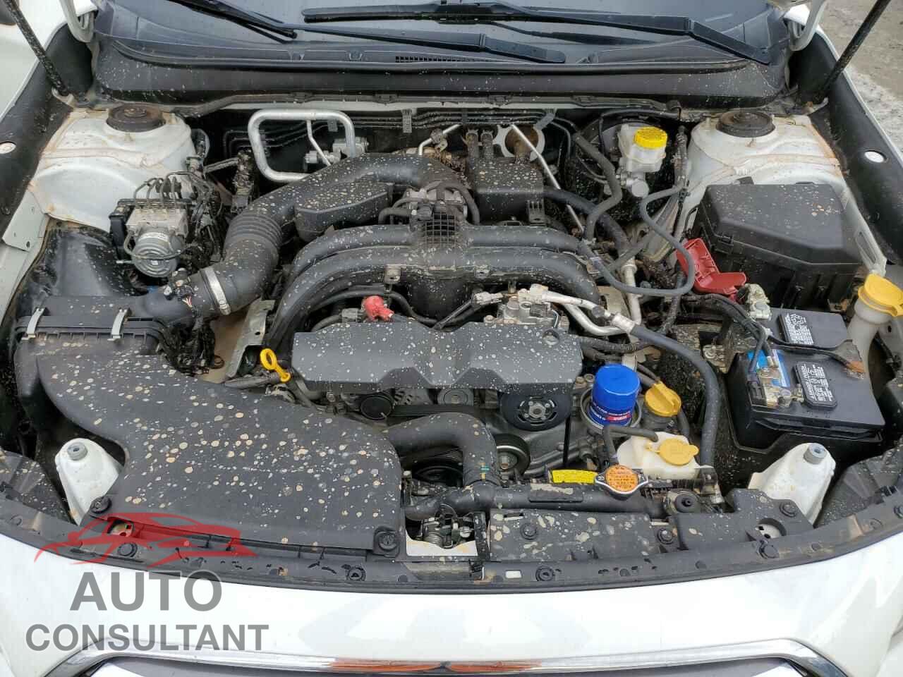 SUBARU OUTBACK 2019 - 4S4BSAJC2K3272080