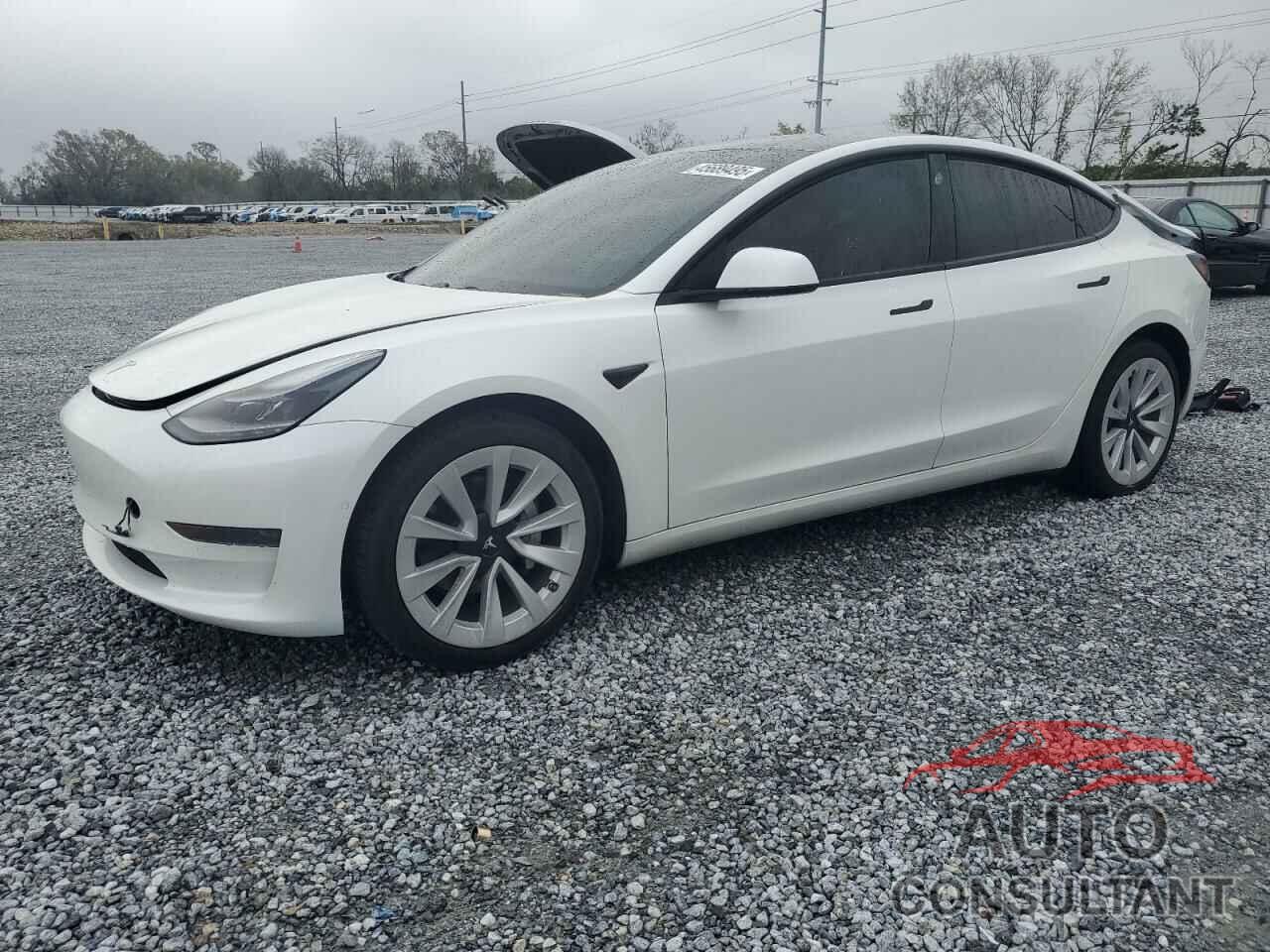 TESLA MODEL 3 2021 - 5YJ3E1EA8MF978095