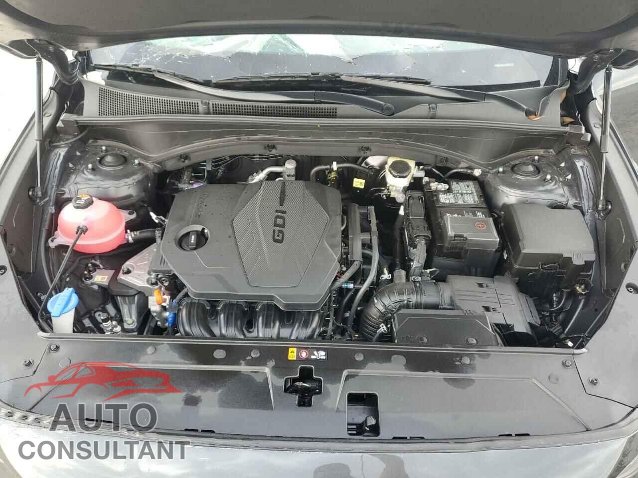 HYUNDAI SANTA FE 2023 - 5NMS14AJ6PH651194