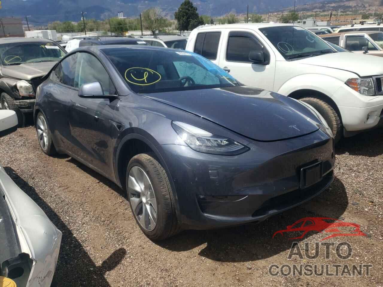 TESLA MODEL Y 2022 - 7SAYGDEE0NF320148