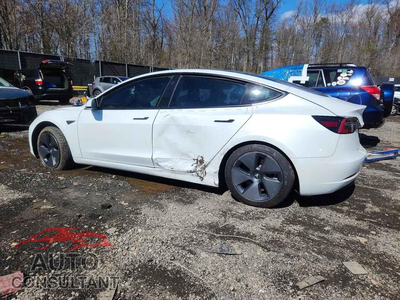 TESLA MODEL 3 2021 - 5YJ3E1EB8MF060954