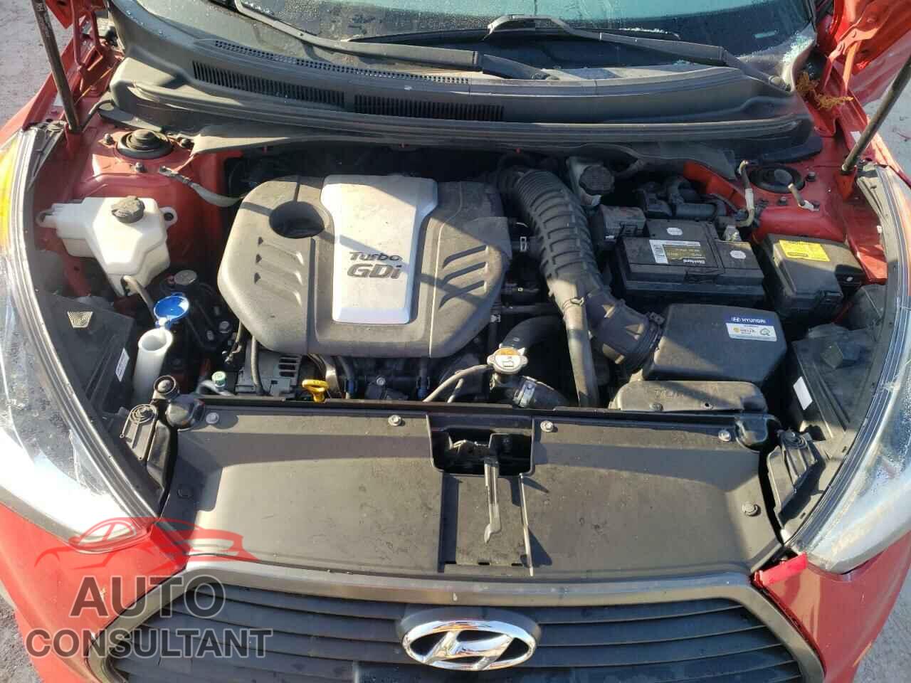 HYUNDAI VELOSTER 2016 - KMHTC6AE8GU282906