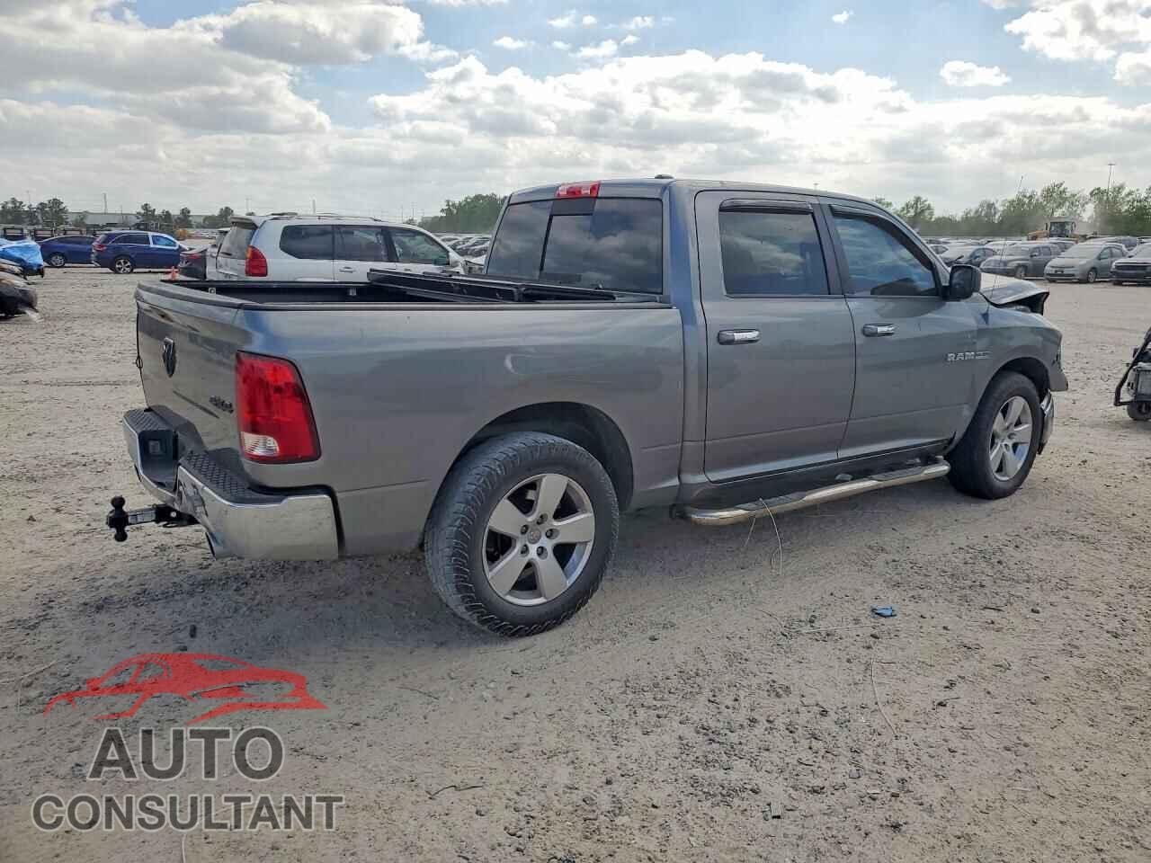 DODGE RAM 1500 2009 - 1D3HB13T29S730607