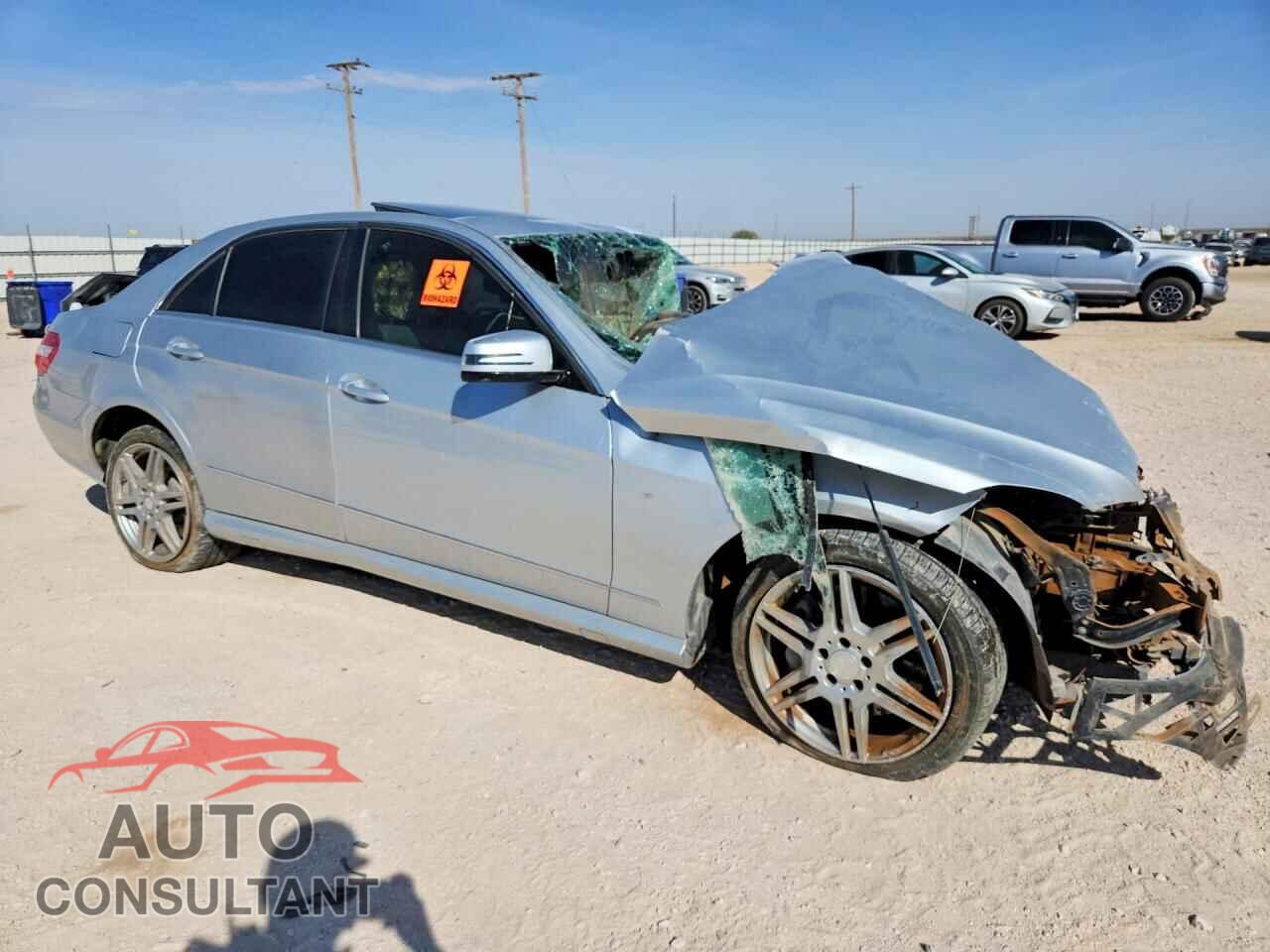 MERCEDES-BENZ E-CLASS 2010 - WDDHF7CB2AA194779