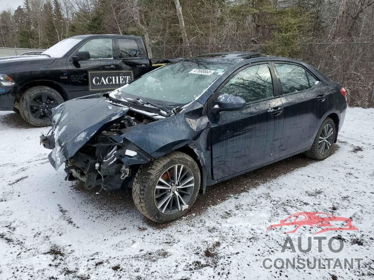 TOYOTA COROLLA 2019 - 2T1BURHE5KC141186