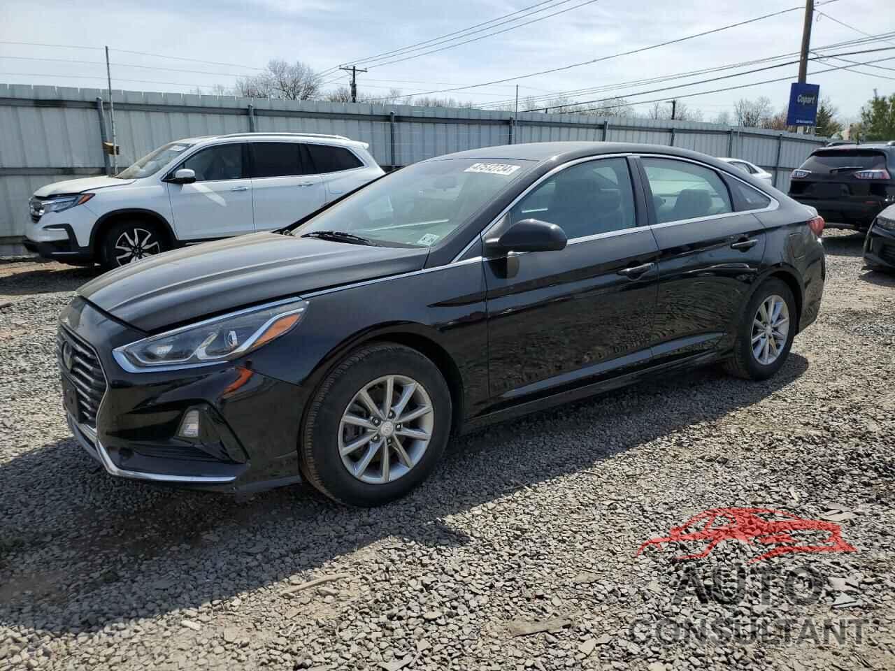 HYUNDAI SONATA 2019 - 5NPE24AF8KH786209