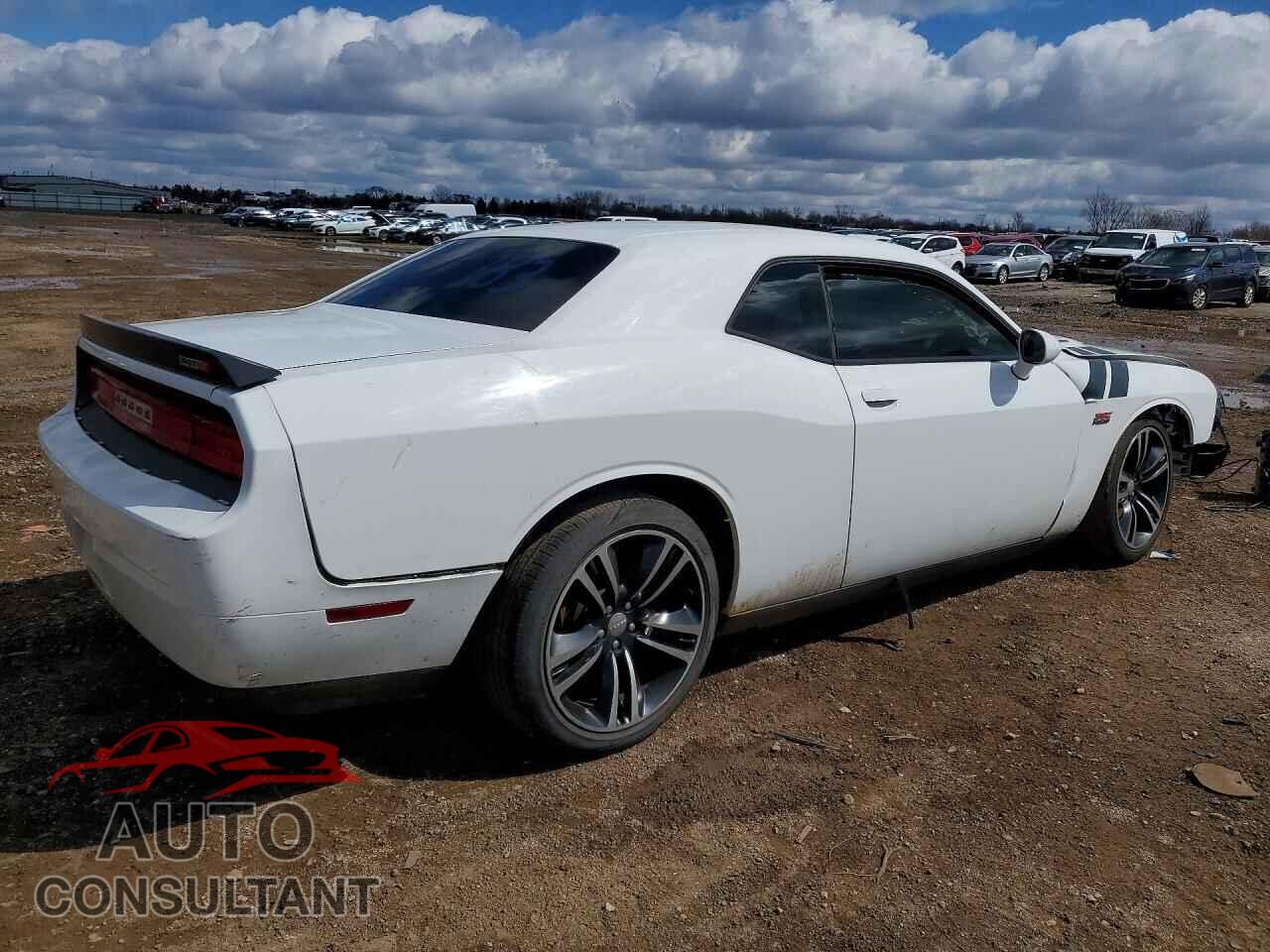 DODGE CHALLENGER 2014 - 2C3CDYDJXEH153981