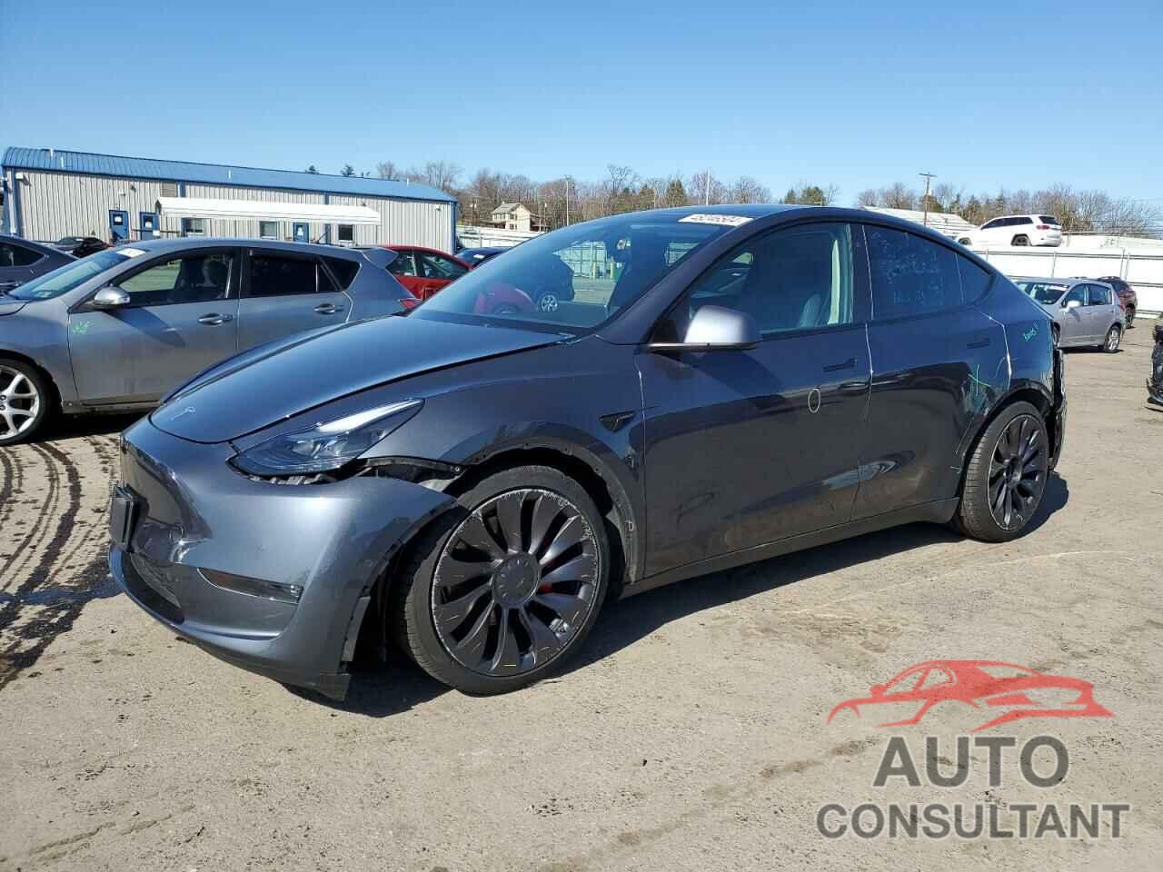 TESLA MODEL Y 2022 - 7SAYGDEF6NF497585