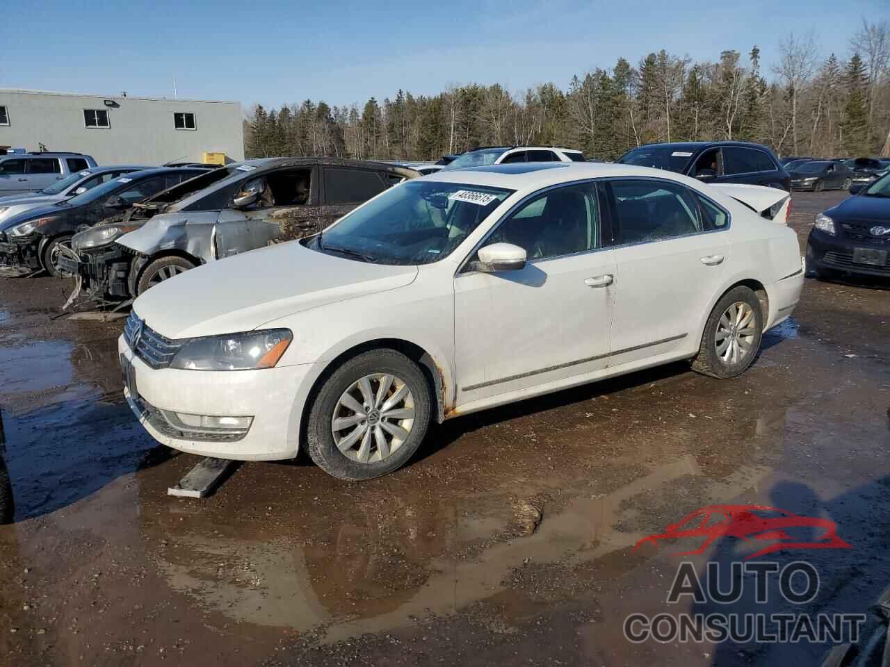 VOLKSWAGEN PASSAT 2013 - 1VWCN7A32DC139709