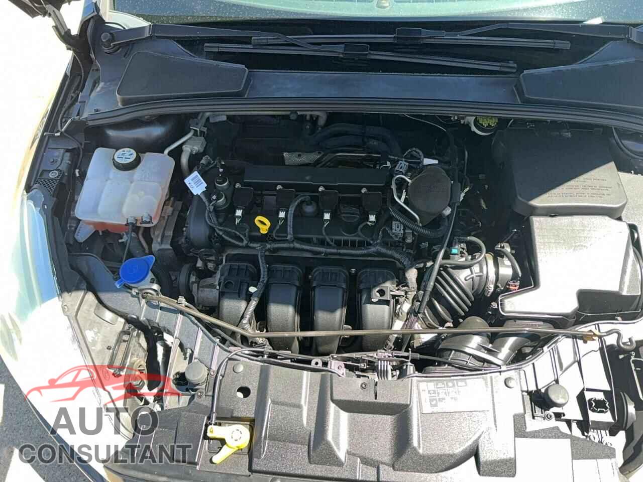 FORD FOCUS 2016 - 1FADP3E29GL293372