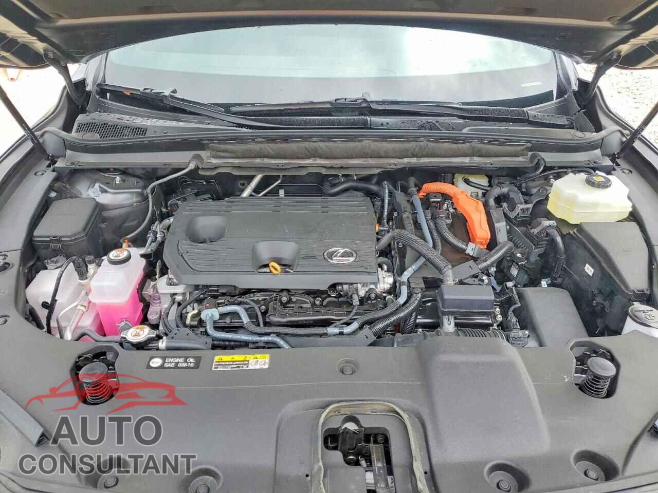 LEXUS UNKNOWN 2026 - 2T2BBMCA5TC125256