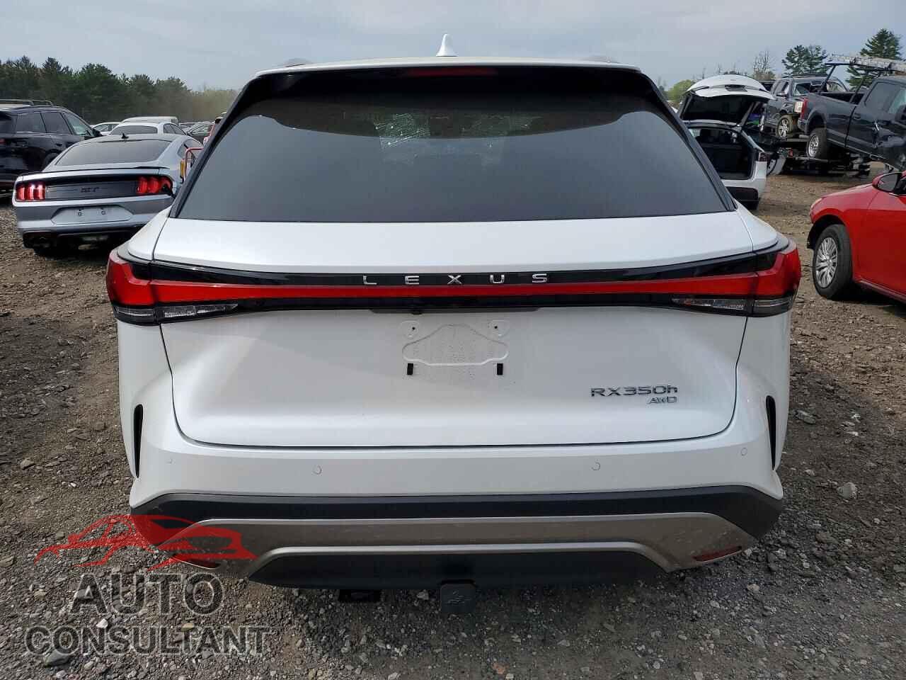 LEXUS UNKNOWN 2026 - 2T2BBMCA9TC118195