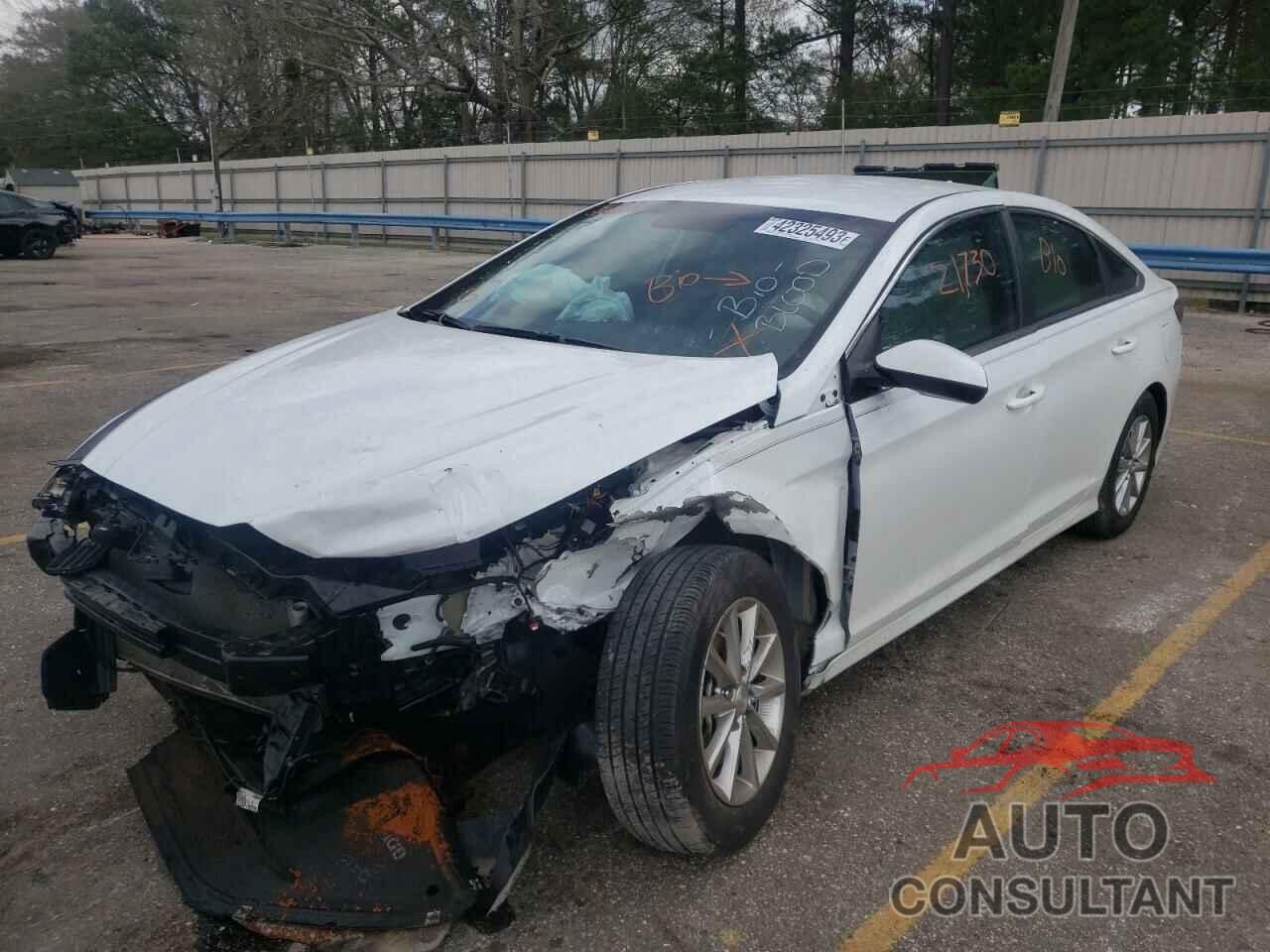 HYUNDAI SONATA 2019 - 5NPE24AF3KH776798