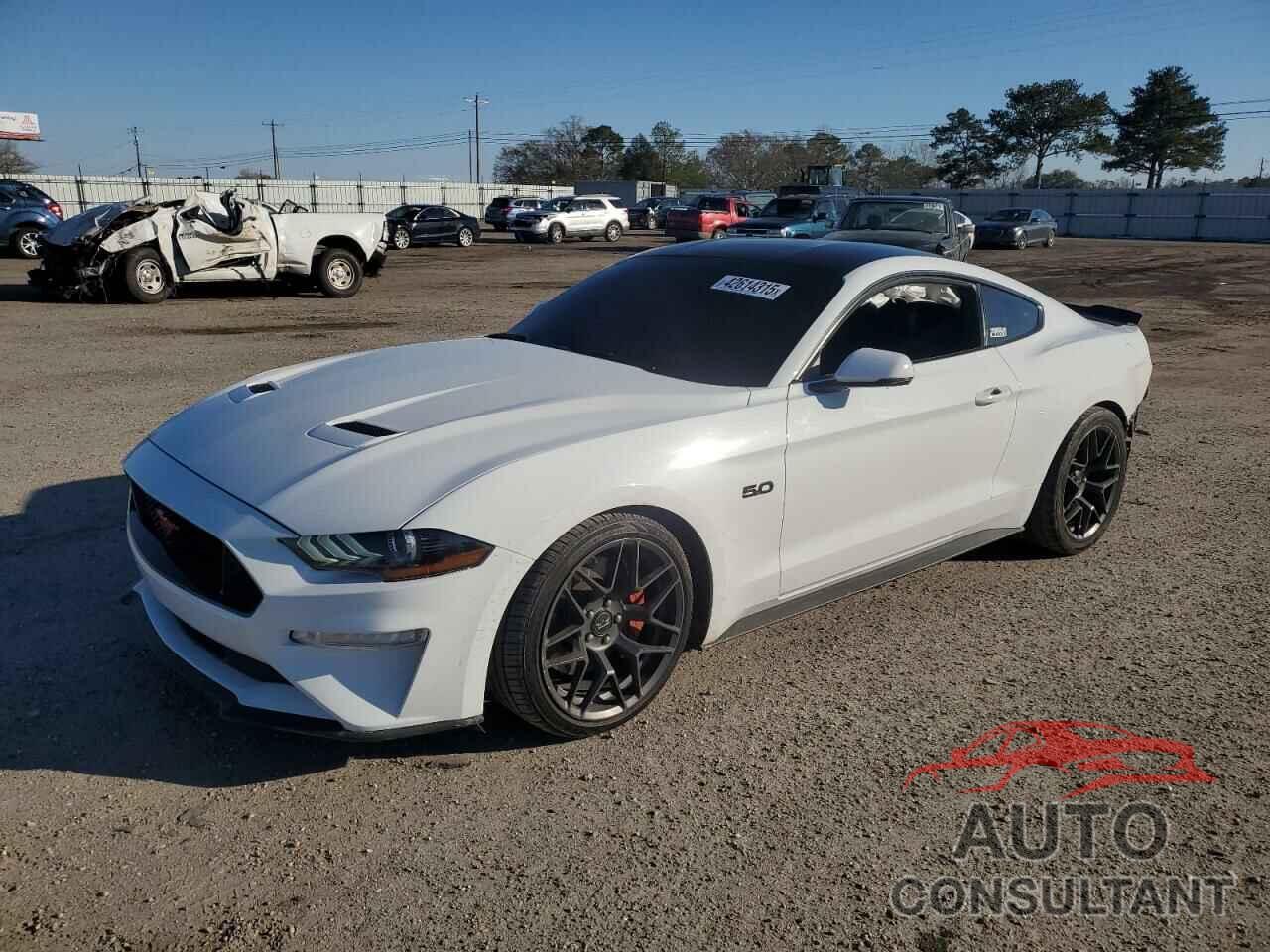 FORD MUSTANG 2019 - 1FA6P8CF1K5166740