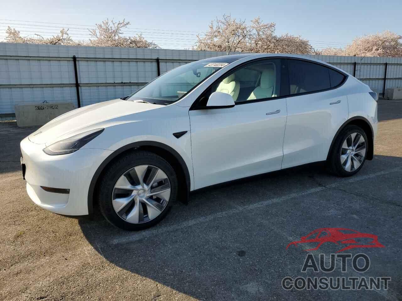 TESLA MODEL Y 2022 - 7SAYGDEE9NF555311