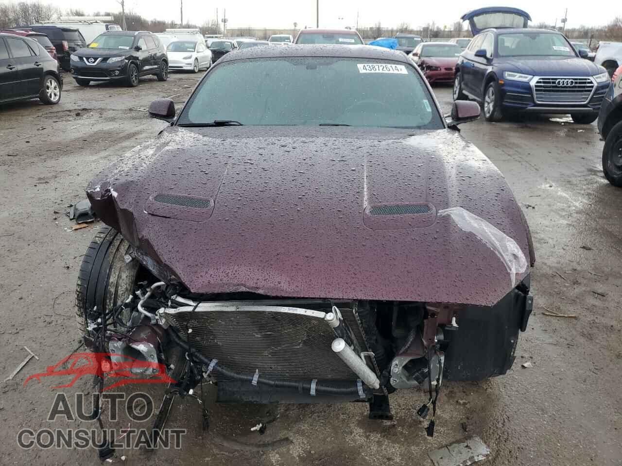 FORD MUSTANG 2018 - 1FA6P8CF3J5122012