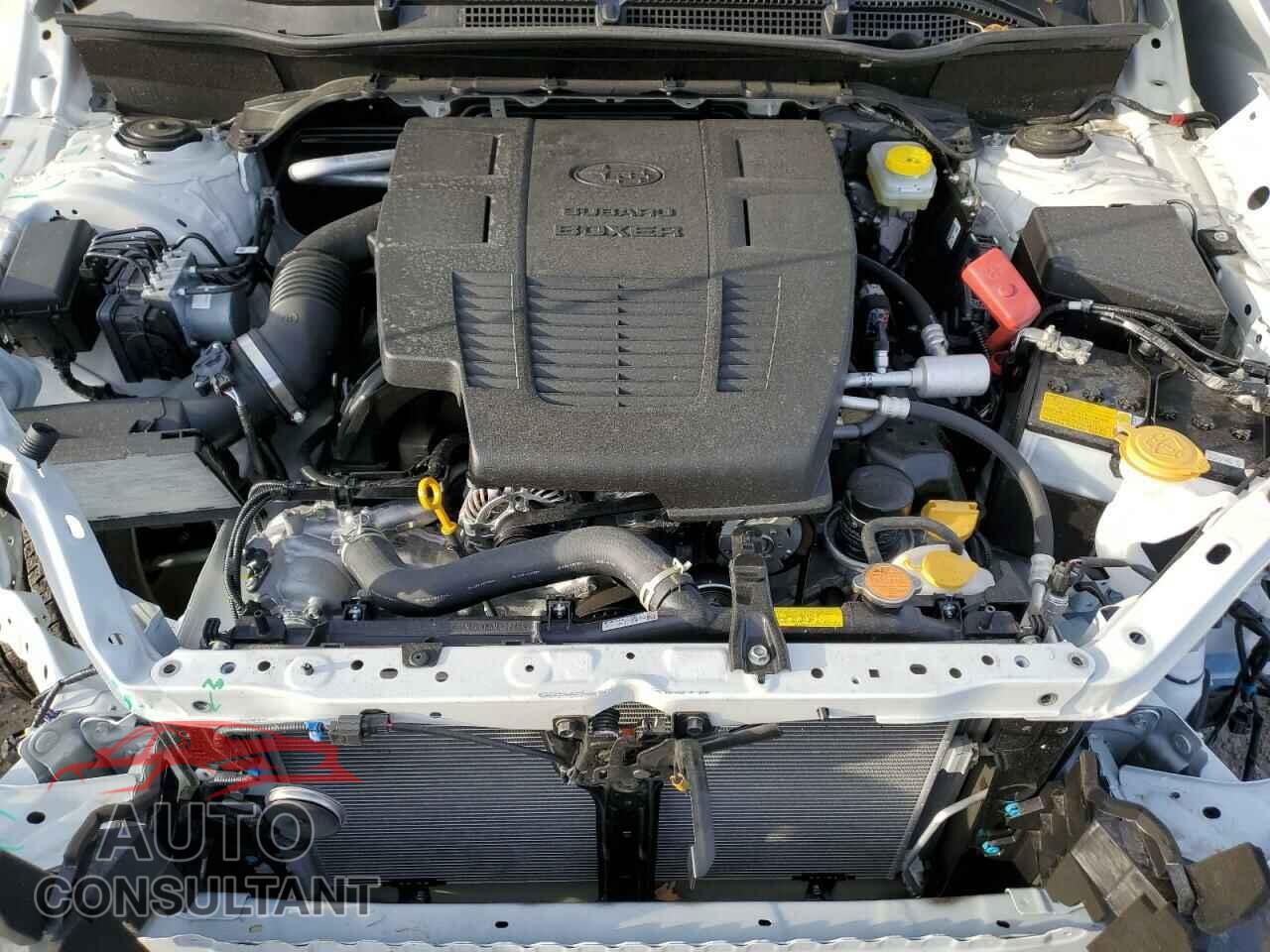 SUBARU FORESTER 2024 - JF2SKABC0RH424682