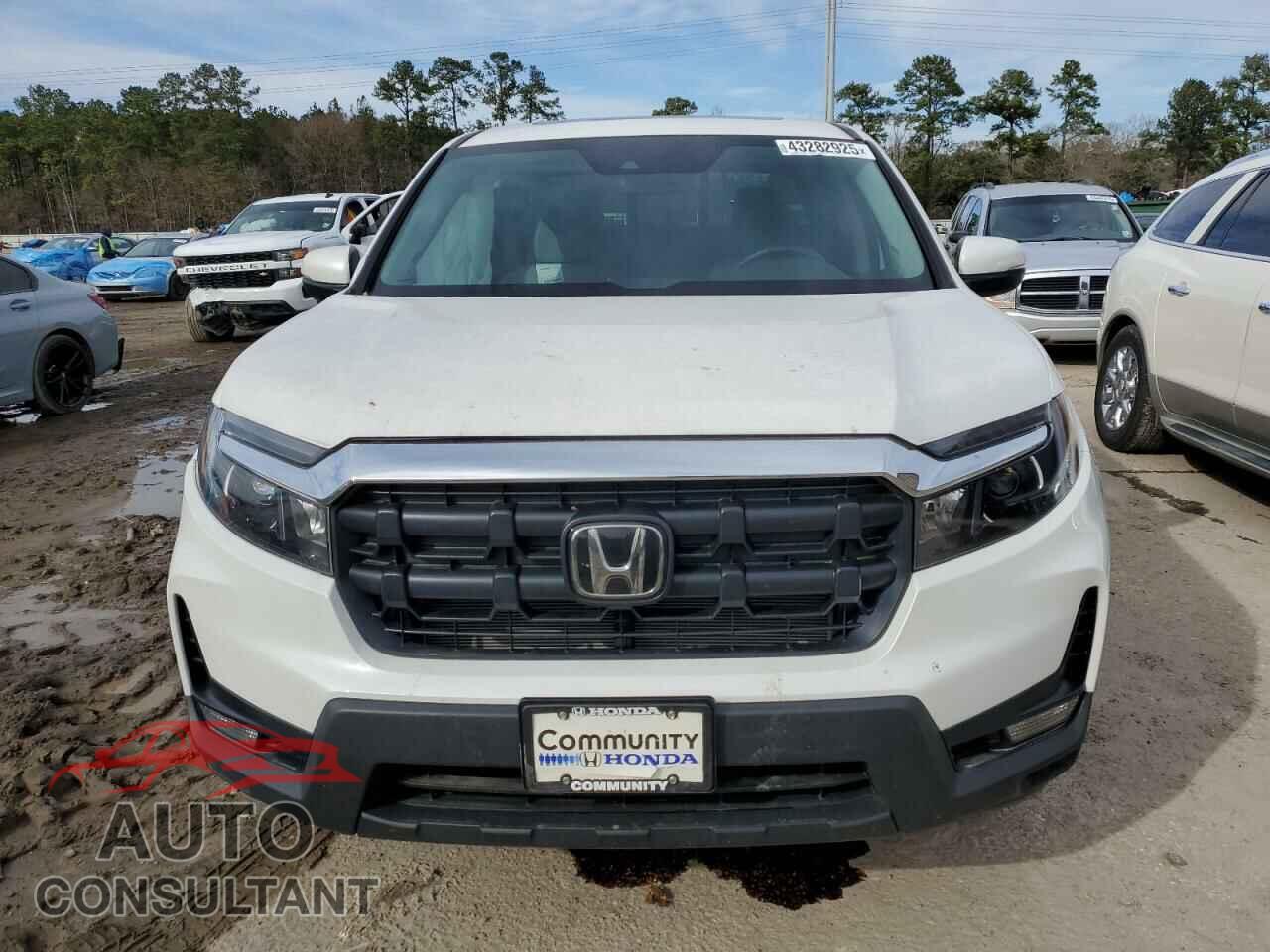 HONDA RIDGELINE 2024 - 5FPYK3F50RB016125