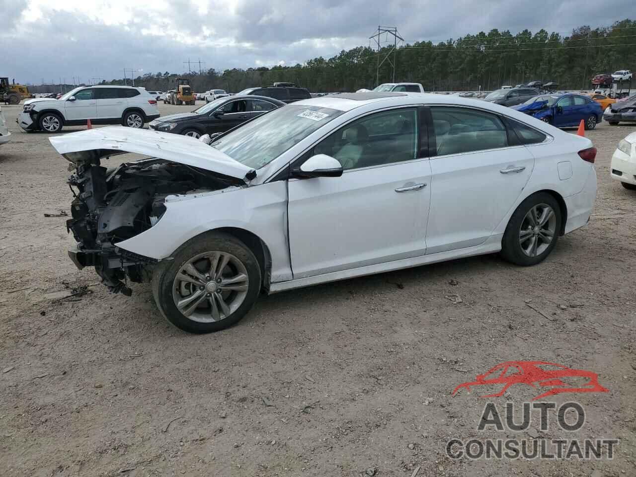 HYUNDAI SONATA 2019 - 5NPE34AF6KH769468