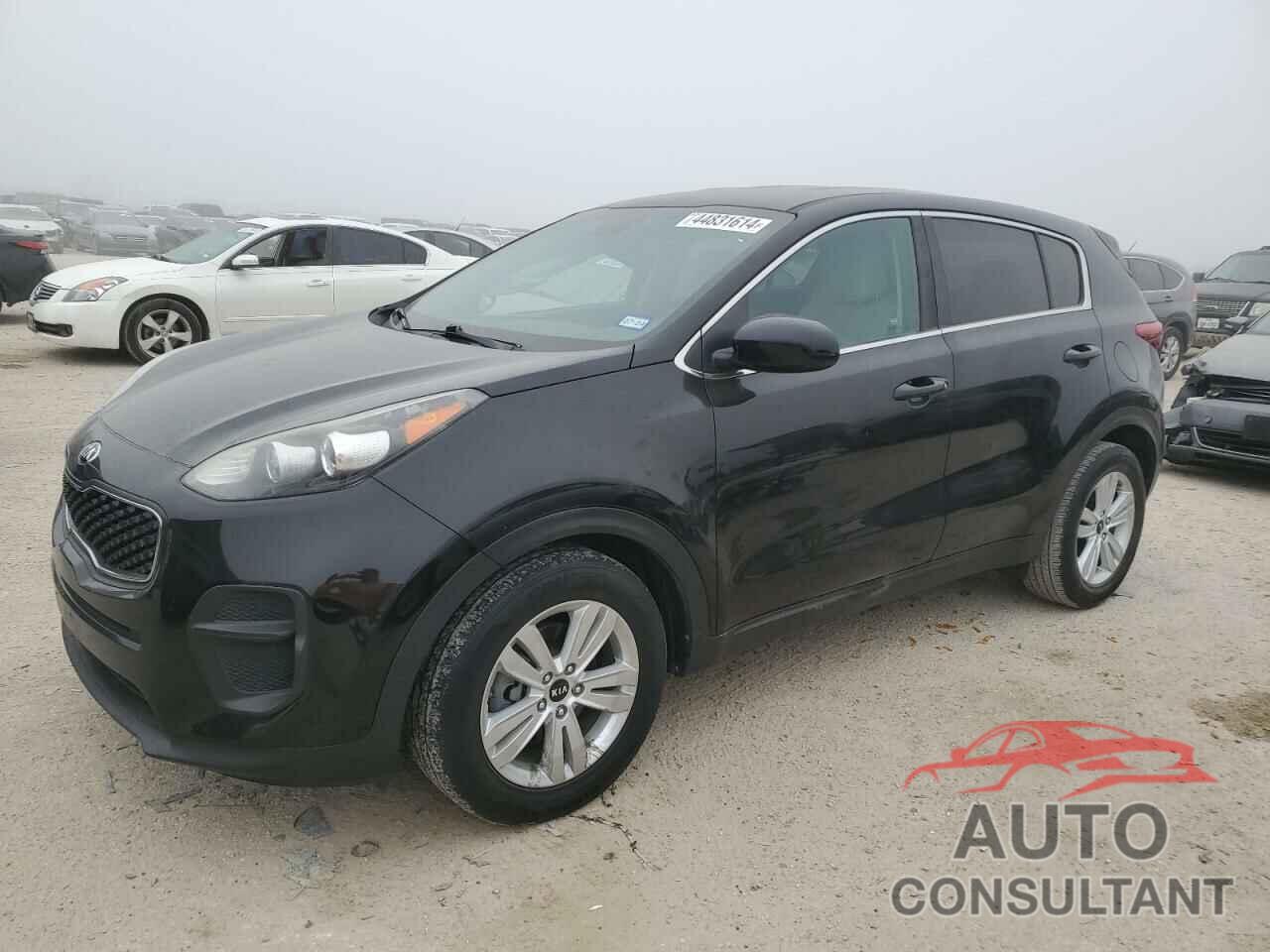 KIA SPORTAGE 2018 - KNDPM3AC0J7346880