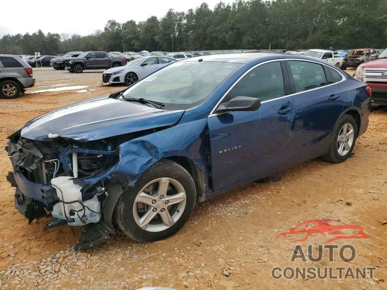 CHEVROLET MALIBU 2019 - 1G1ZB5ST9KF214516