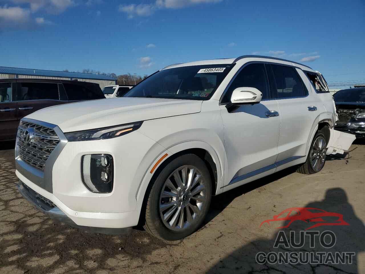 HYUNDAI PALISADE 2020 - KM8R5DHE0LU091294