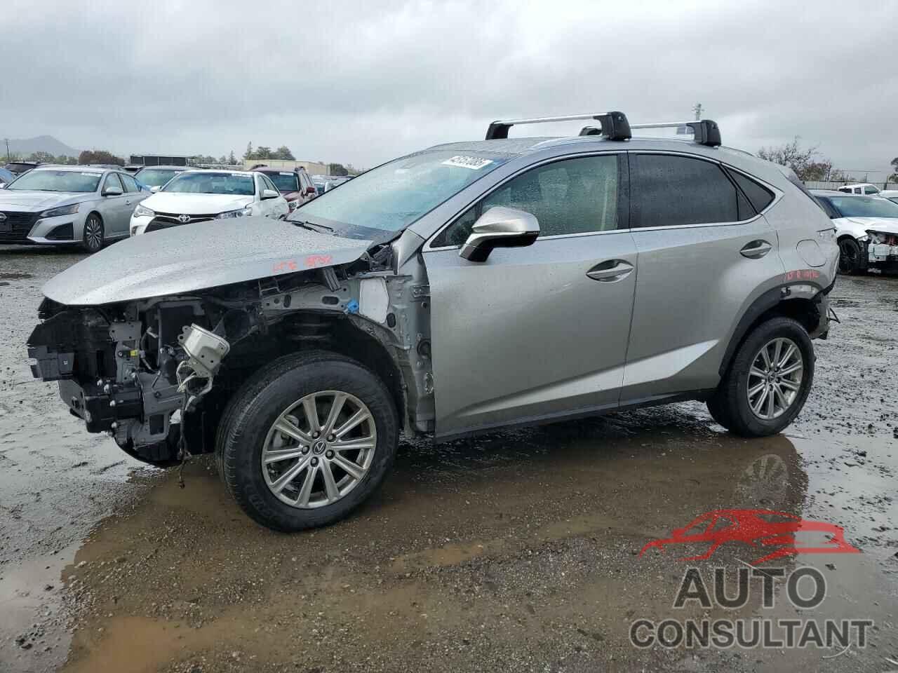 LEXUS NX 2019 - JTJYARBZ0K2117758