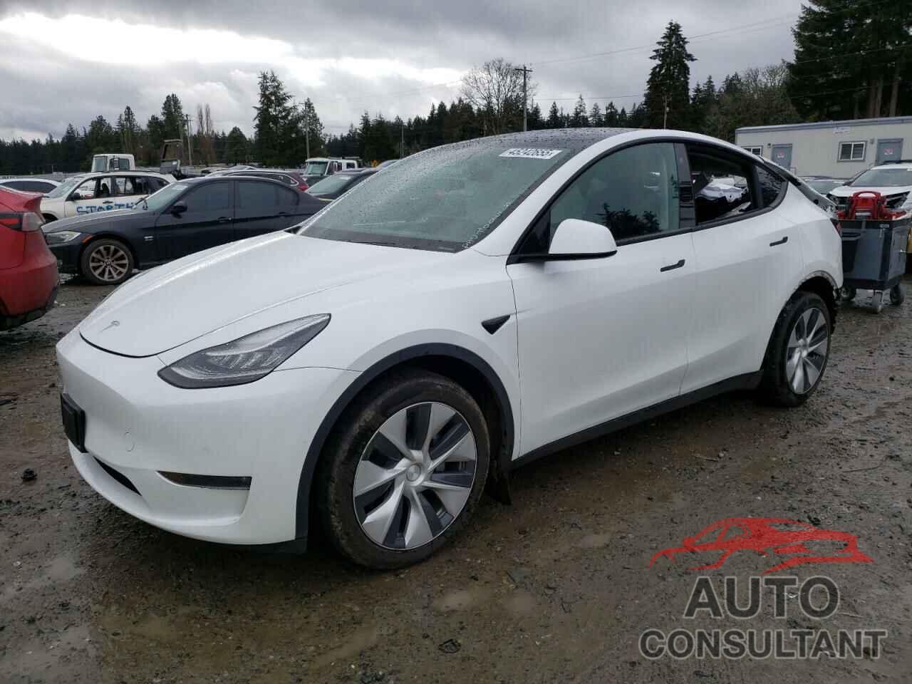 TESLA MODEL Y 2020 - 5YJYGDEE8LF052881