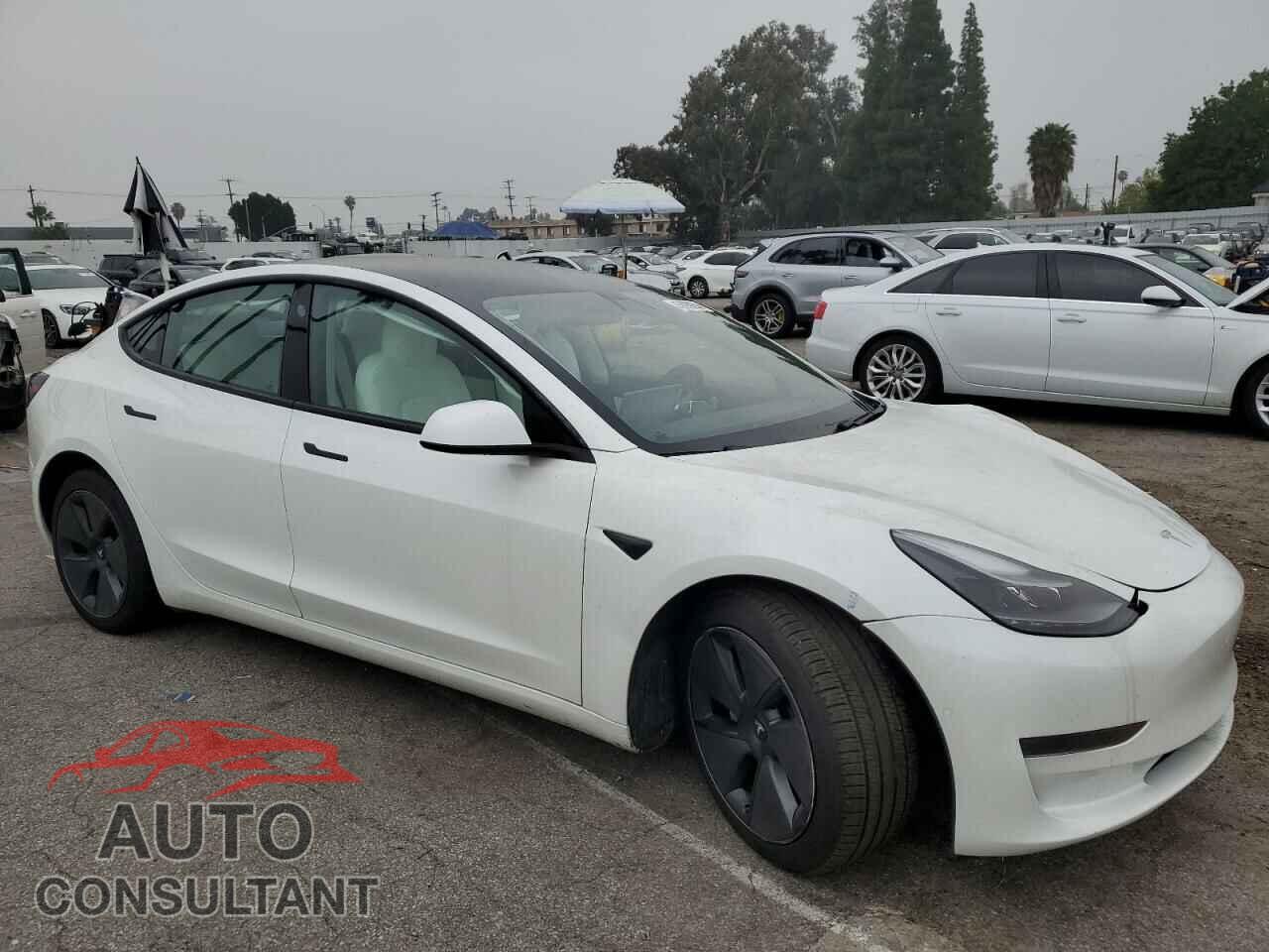TESLA MODEL 3 2021 - 5YJ3E1EA1MF942989