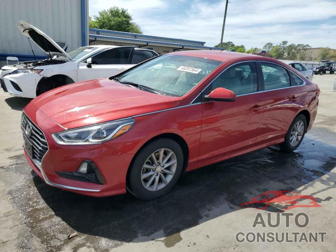 HYUNDAI SONATA 2019 - 5NPE24AF8KH784864