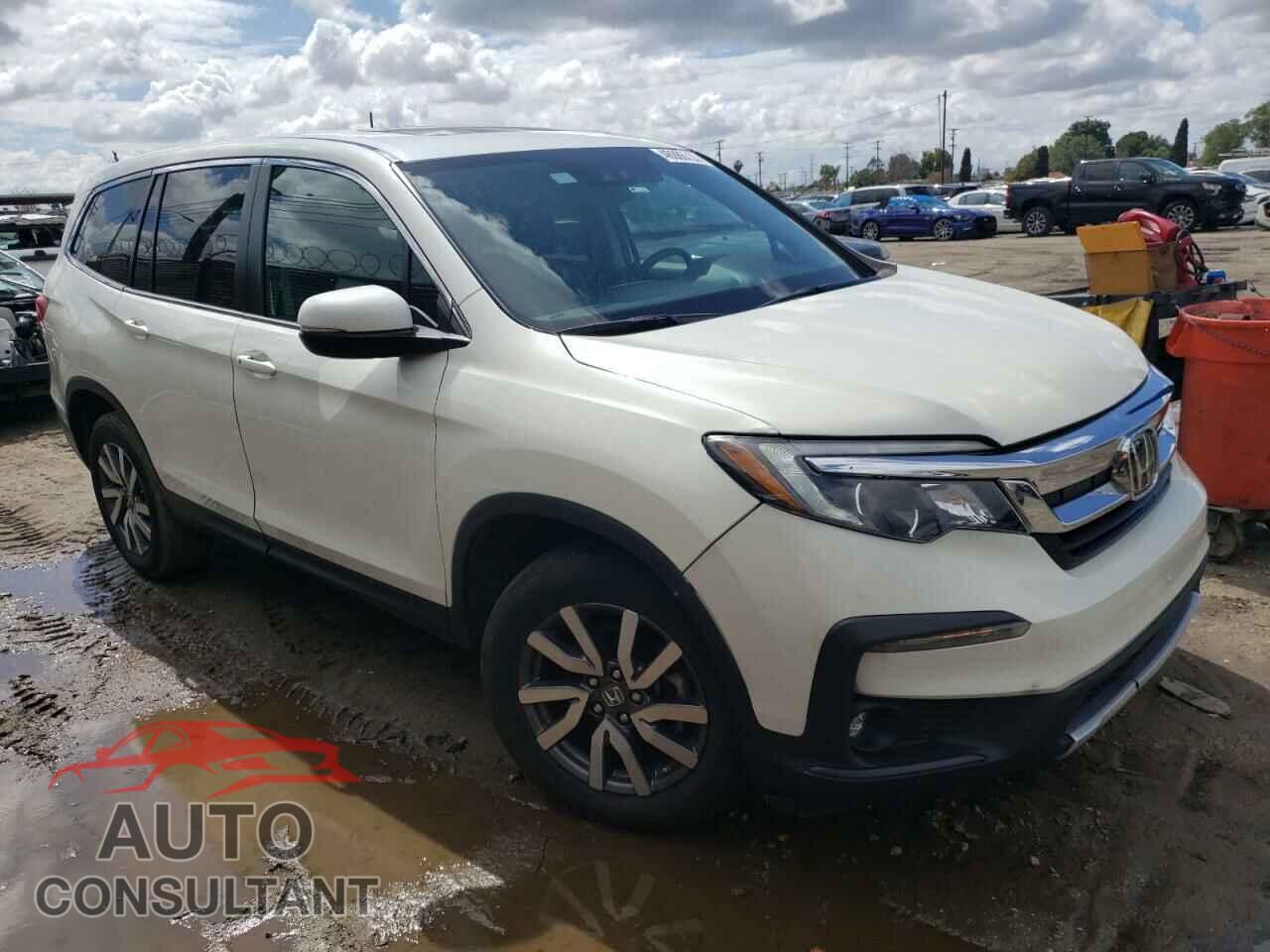 HONDA PILOT 2019 - 5FNYF6H54KB034418
