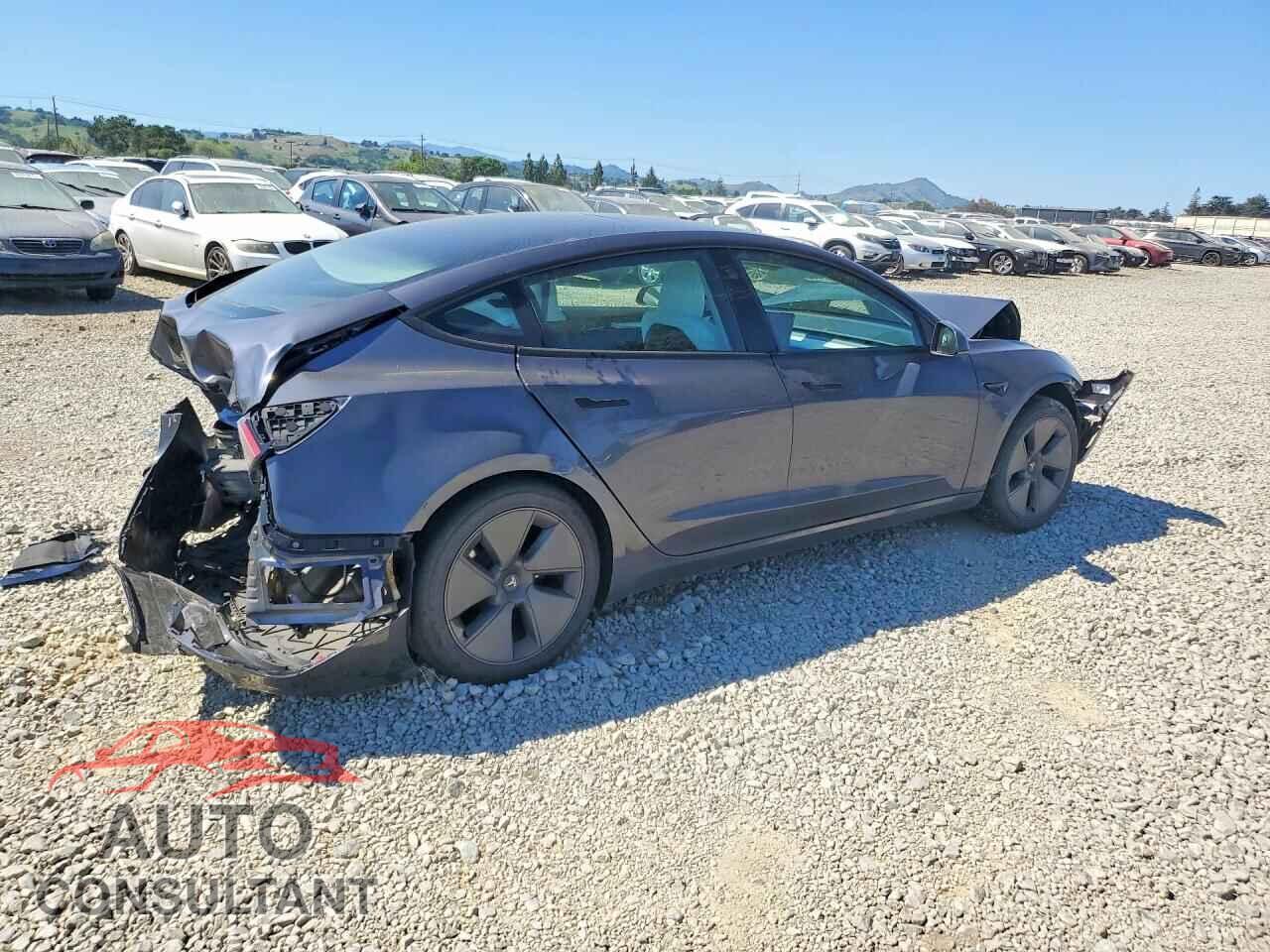 TESLA MODEL 3 2023 - 5YJ3E1EA8PF619902