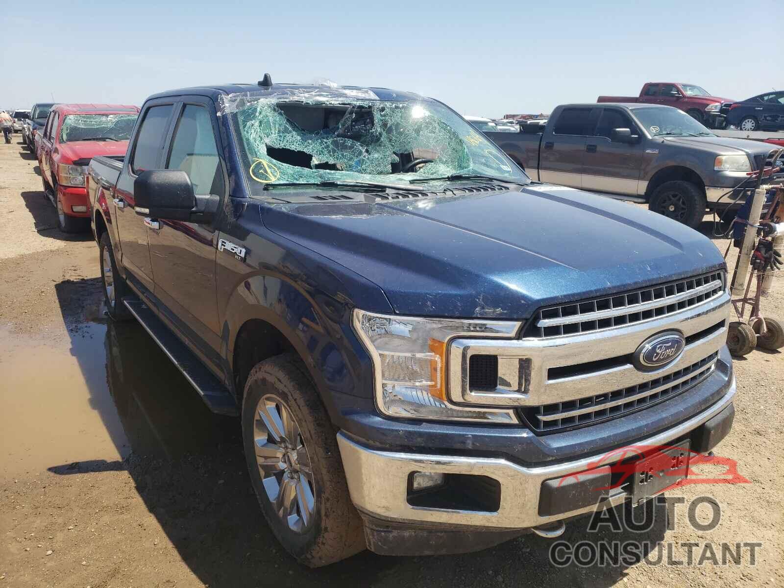 FORD F-150 2019 - 1FTEW1EP7KKC84864